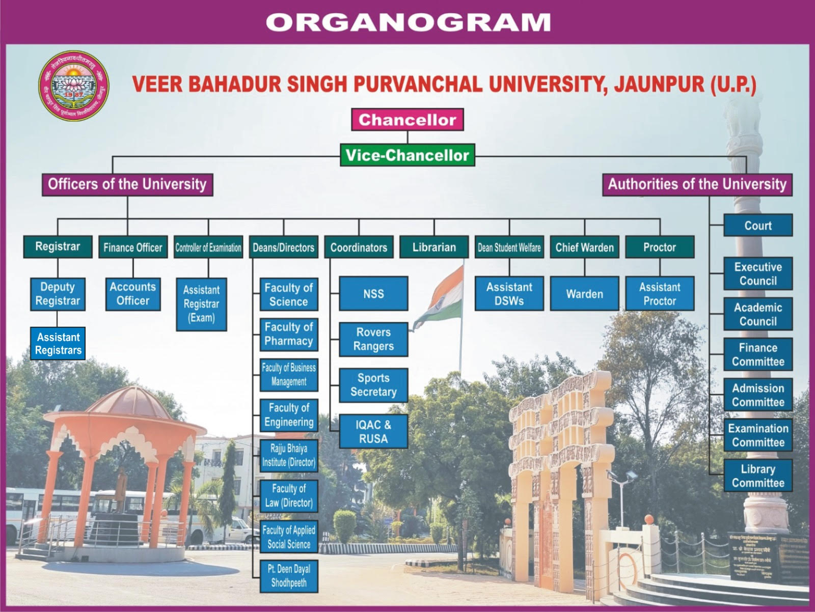 Organogram